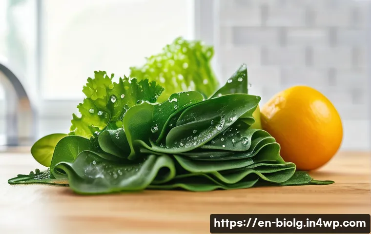 해조류에서 추출한 천연 고분자 특징 - A highly detailed close-up of biodegradable seaweed polymer films gently draped over fresh fruits an...