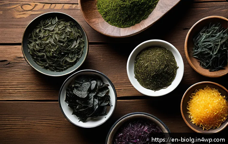 해조류의 기능성과 생리적 작용 - A vibrant close-up of assorted edible seaweed varieties&mdash;kelp, wakame, nori, and dulse&mdash;artfully arran...