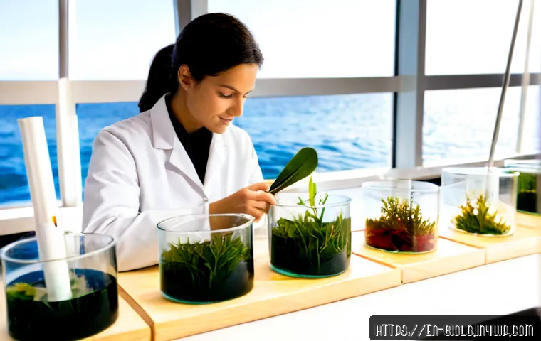 해조류의 고부가가치 산업화 전략 - Photorealistic coastal seaweed innovation facility, a confident marine biologist in clean lab attire...
